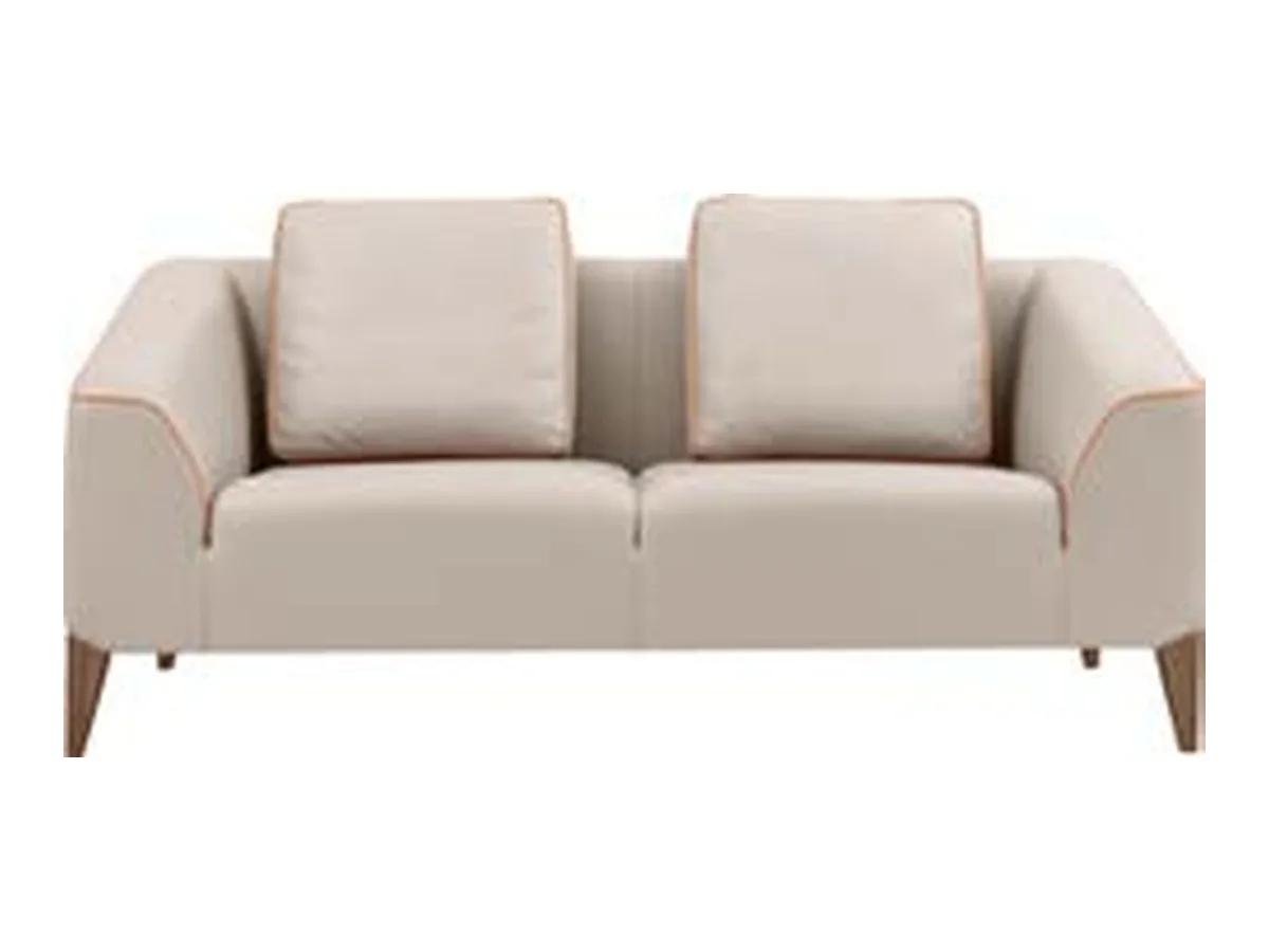 Sofa DFS222 -2