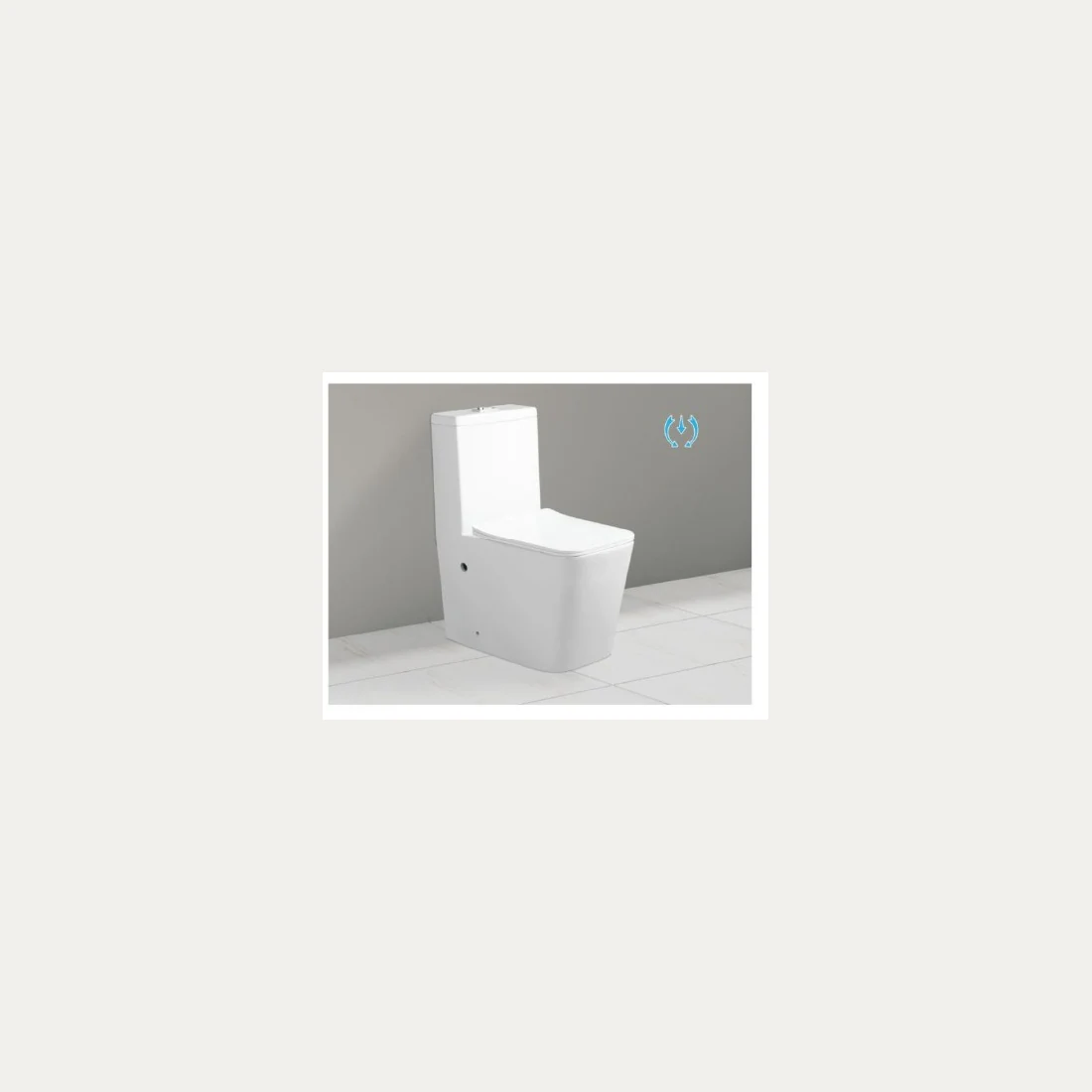 One-piece toilet LE-6303
