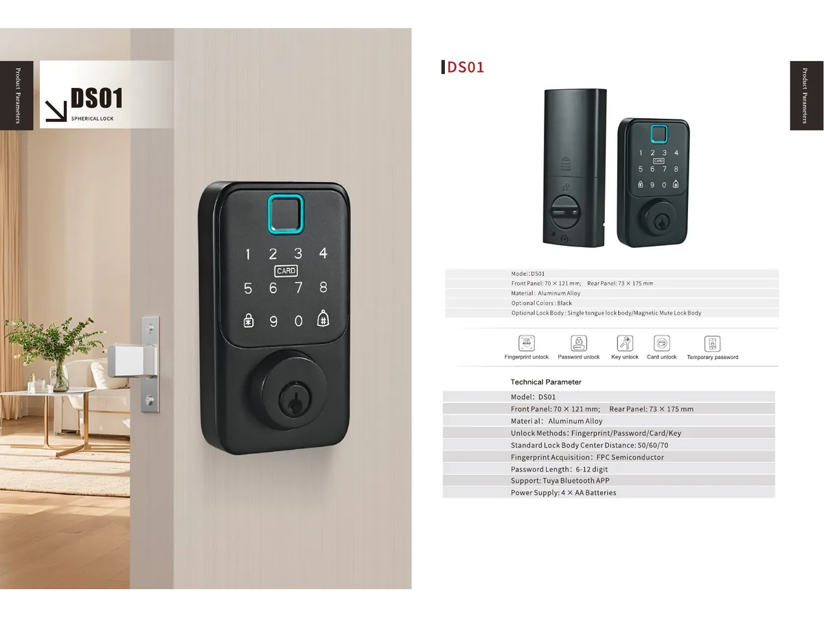 smart lock DS01